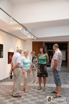 Razstava - Vedran Tomšić (5)